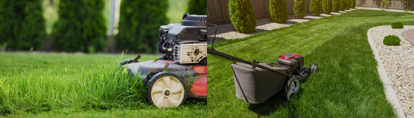 Alexa lawn mower best sale